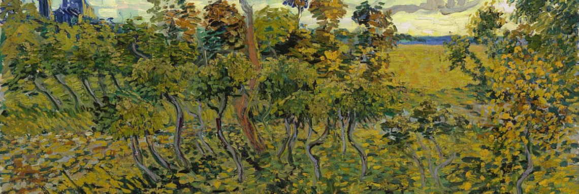 / La formation du symptôme. Sur « Le trouble psychogène de la vision dans la conception psychanalytique »